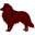 aggieswire.usatoday.com icon