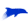 Ifremer icon